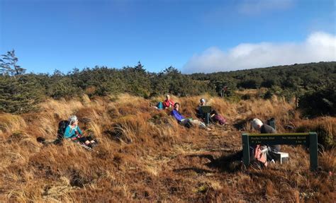 Recent Trips Archives Napier Tramping Club