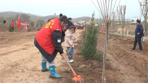 镇平：干群植树忙 添绿正当时澎湃号·政务澎湃新闻 The Paper