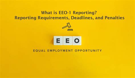 What Is EEO 1 Reporting Reporting Requirements Deadlines And