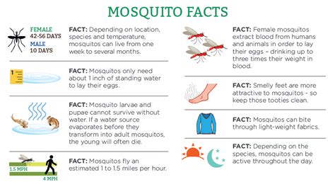 Mosquito Facts Mosquito Hunters Of Greater Omaha