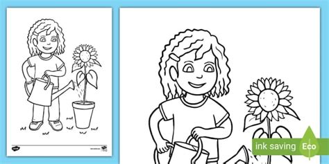 Watering The Plants Colouring Page L Enseignant A Fait