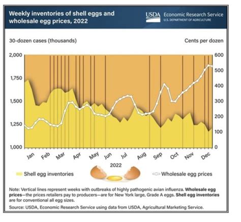 Egg Prices Are Now Up 70%, But Have Prices Peaked? | AgWeb