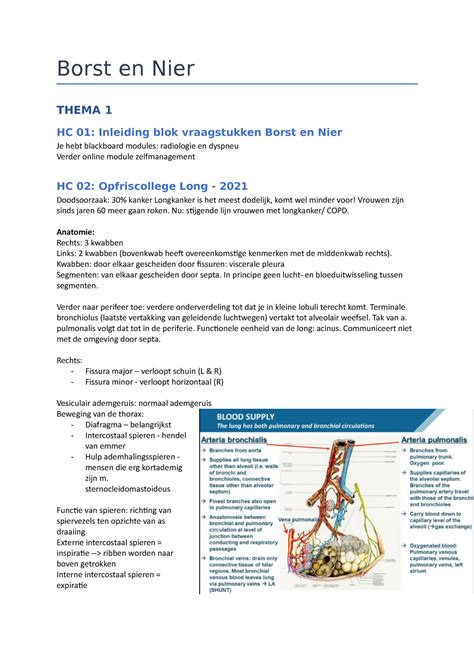 Samenvatting Deeltoets Leerstof Vraagstukken Borst En Nier Borst En