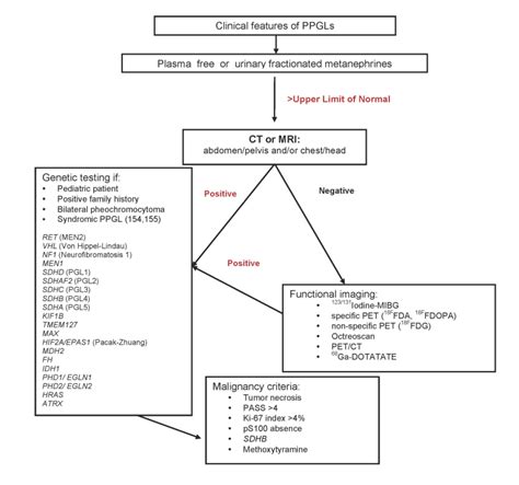 Testing For Endocrine Hypertension Endotext Ncbi Bookshelf