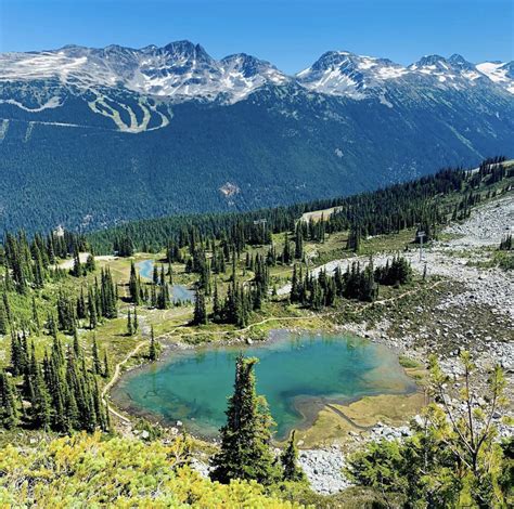 A Breathtaking Adventure Flying On Top Of Whistler And Squamish By A