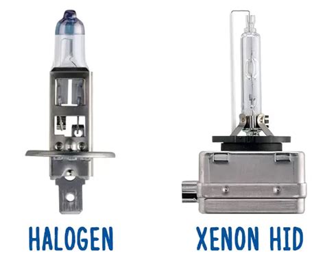 Mold Meaning Option Xenon Headlight Bulbs In Need Of National Settlers