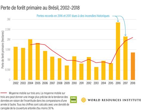 La déforestation un état des lieux en 2019