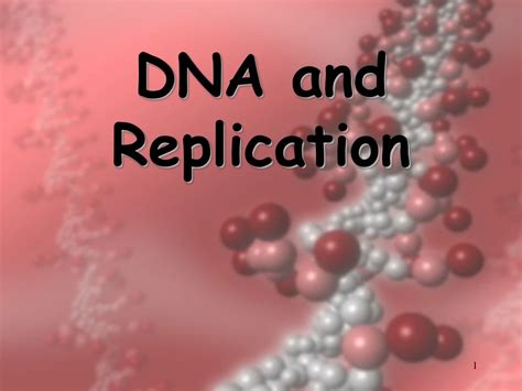 Ppt Dna And Replication Powerpoint Presentation Free Download Id