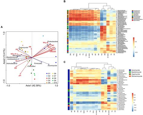 Frontiers A Functional Metagenomics Study Of Soil Carbon And Nitrogen