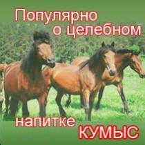 КОРОТКО О КУМЫСЕ: Состав кумыса Химический состав кумыса богат ...