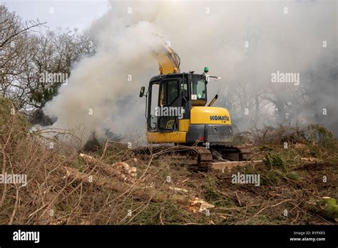 Tree Felling And Clearing In Small Woodland Stock Photo Alamy