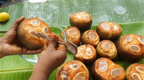 Nungu Sarbath Ice Apple Palm Fruit Juice Playing With Nungu Vandi Village Recipe Youtube