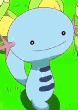 Wooper | Anime-Planet