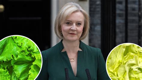 I Dont Think Its Funny Liz Truss Says Being Compared To A Lettuce