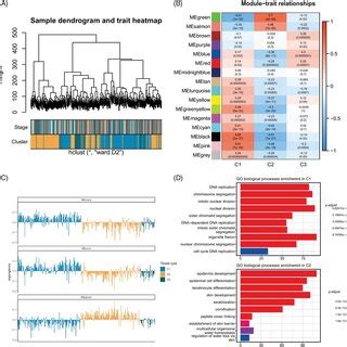 Identification Of Subclustersrelated Weighted Gene Coexpression