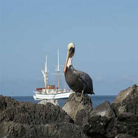 Floreana Island Full Day Tour In Galapagos Getyourguide