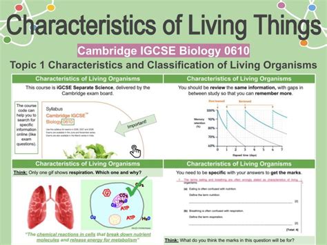 Characteristics of Living Things - MRS GREN, Course Info and Effective ...