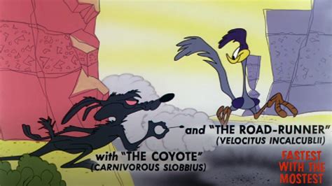 Fastest With The Mostest 1960 Looney Tunes Wile E Coyote And Road