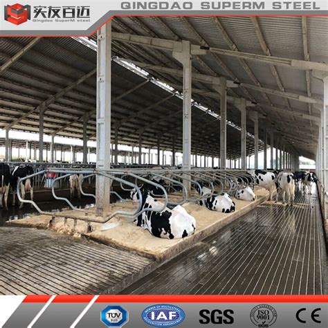 Prefabricated Steel Structure Sheep Barn Farming Shed China Steel