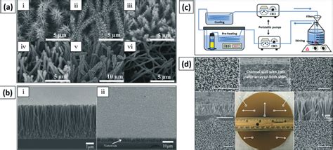 A I And Ii D Branched Cuo Co O Coreshell Nanowire Array