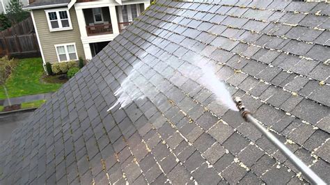 Roof Cleaning In Seattle Wa Free Quote Lakeview Pro Wash