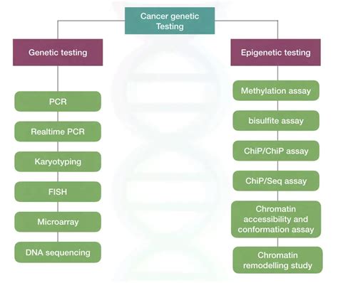 Cancer Genetic Testing What Is It And How Its Done Genetic Education