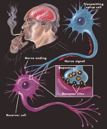 Nicotine Definition, Addiction & Withdrawal | Study.com