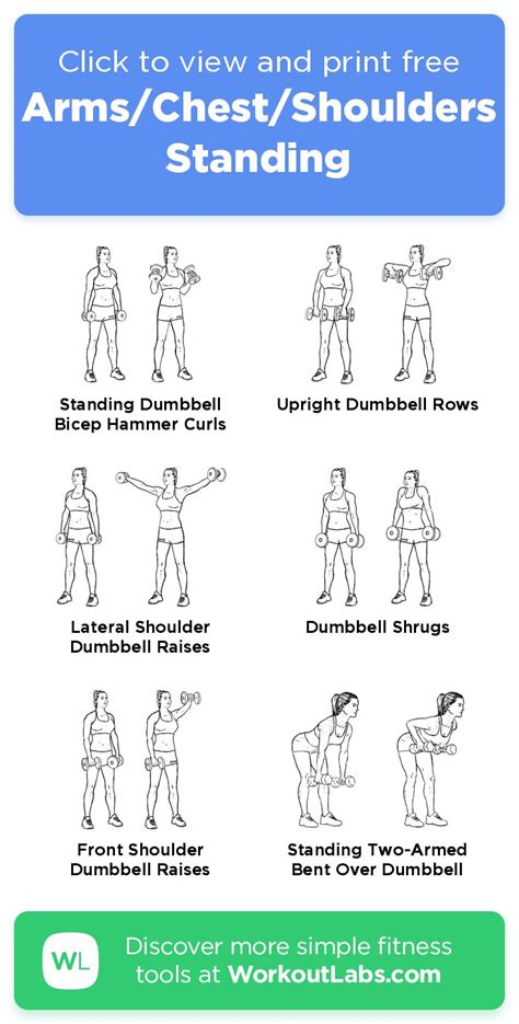 Arms Chest And Back Exercises