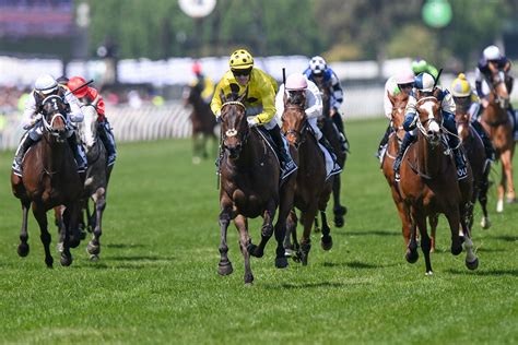 Gold Trip Ridden Too Close Melbourne Cup 2023 LIVE News Results