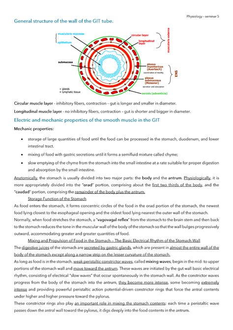 Physio Notes Seminar 5 Histologie A Embryologie