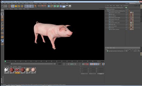 Pig Piglet Landrace Walking Pose 3D Model 3D Model 79 Blend C4d