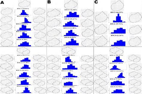 Summary Of The Geometric Morphometric Analysis Showing The Mean Shape