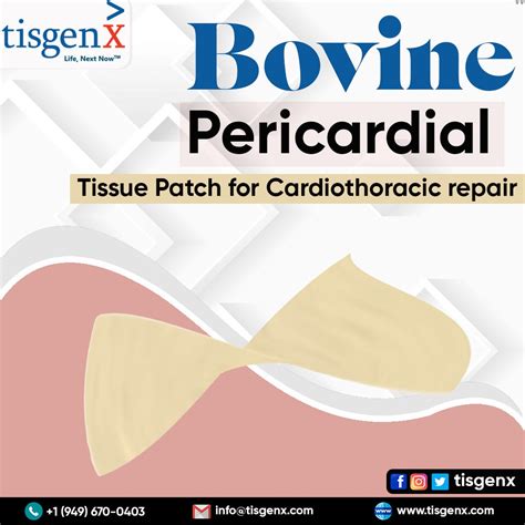 Bovine Pericardial Tissue Patch An Innovative Solution For Cardiothoracic Repair By Tisgenx