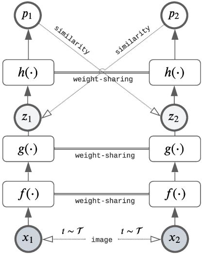 SimSiam architecture. | Download Scientific Diagram