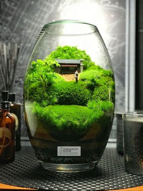 Awesome Bonsai Terrarium Jars Ideas 28 Terrarium Jar Terrarium