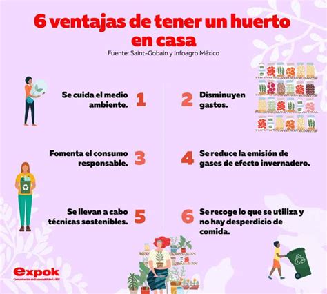 6 Ventajas De Tener Un Huerto En Casa