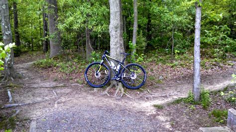 Lums Pond State Park Swamp Forest Trail Photos