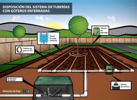 Goteo Enterrado O Subterr Neo Qu Deber A Saber Blog De Riegopro