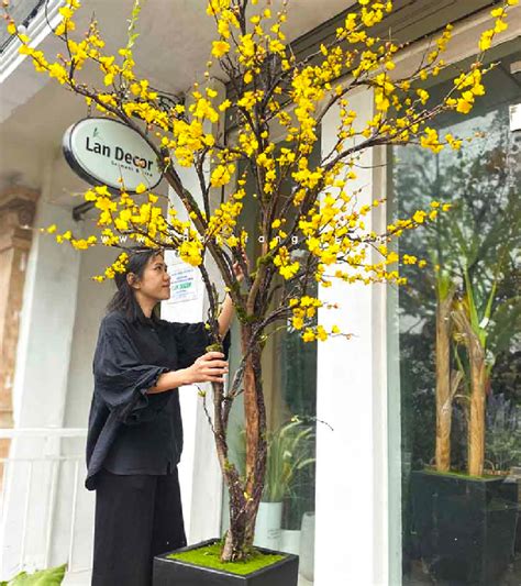 Lo I Hoa L M Quen Hot Trend T T C Nh O Nh Ng Ra Hoa V Ng Nh Mai Ch Em Thi Nhau Ch I T T