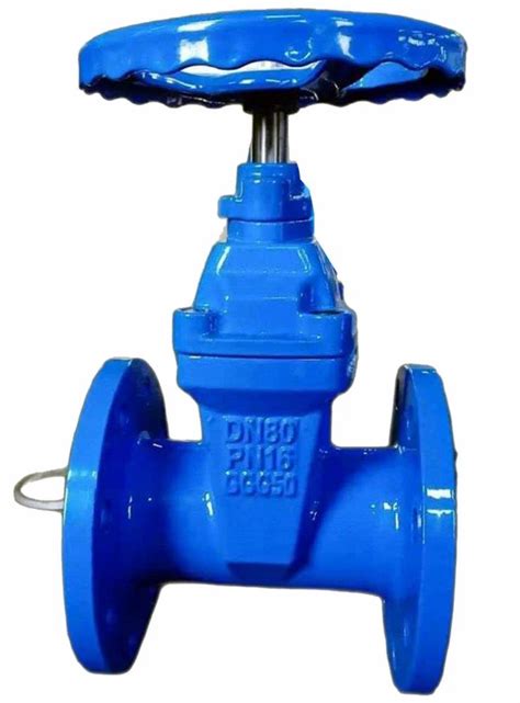 High Cast Iron Sluice Valve Flange At Rs 2200 In Ahmedabad ID