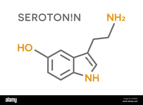 Estructura Molecular De La Serotonina F Rmula Qu Mica Esquel Tica De