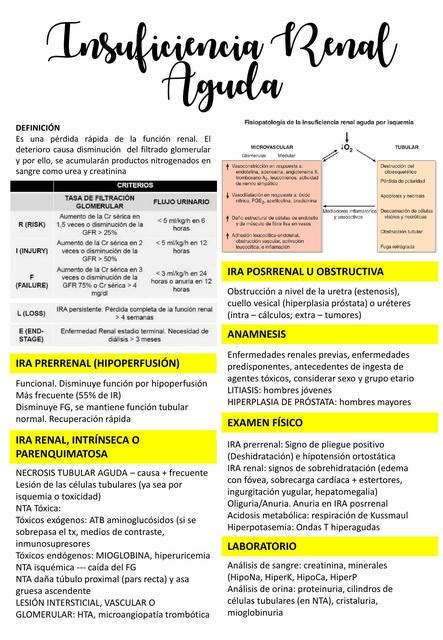 Semiología Insuficiencia renal aguda Andrea Llanqui García uDocz