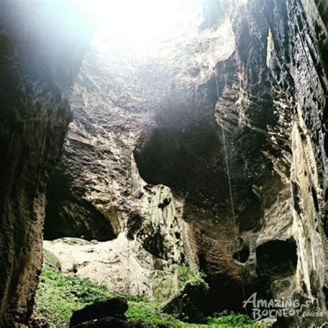 Gomantong Caves Adventure | Travelogue - Amazing Borneo Tours