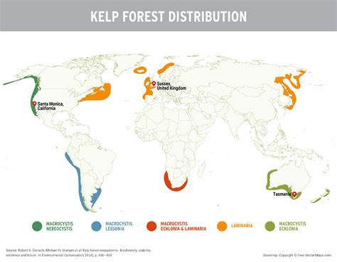 What Kelp Forests Can Do For The Climate Yes Magazine