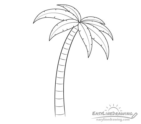 Easy Palm Tree Drawings