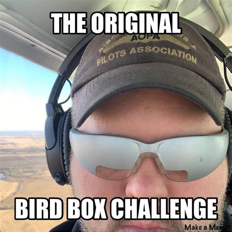 Bird Box Challenge : aviation