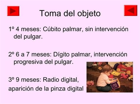 Gonzalez Nestor Desarrollo De La Prensión