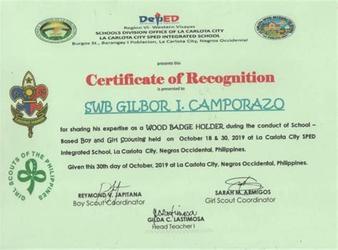 Boy Scouts Of The Philippines Certificate