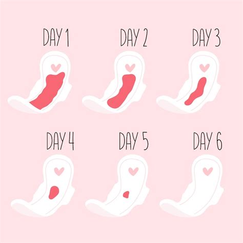 Premium Vector Bleeding Menstrual Period On Pad Day By Day Female Pad