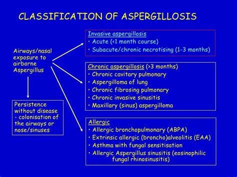 Powerpoint On Aspergillosis